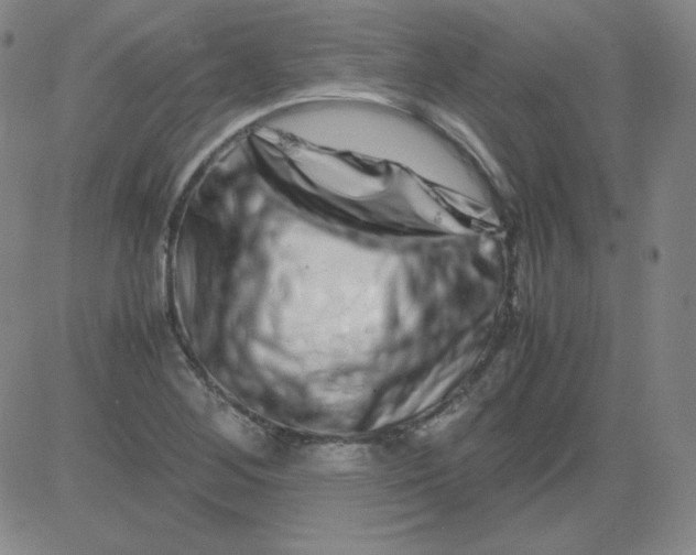 X0000081491268200702021914