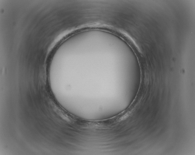 X0000081491270200702021914