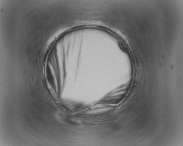 X0000081491271200702021914