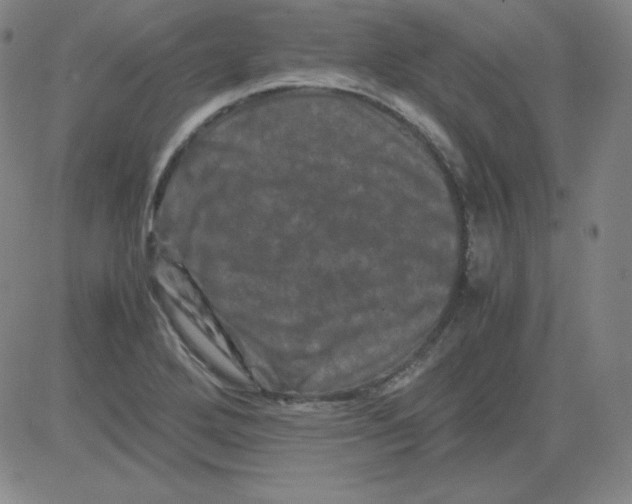 X0000081491272200702021914