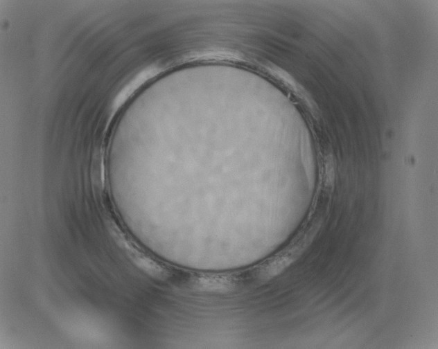 X0000081491274200702021914