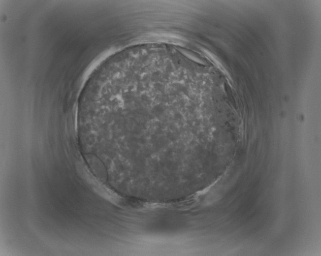 X0000081491275200702021914