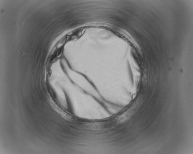 X0000081491276200702021914