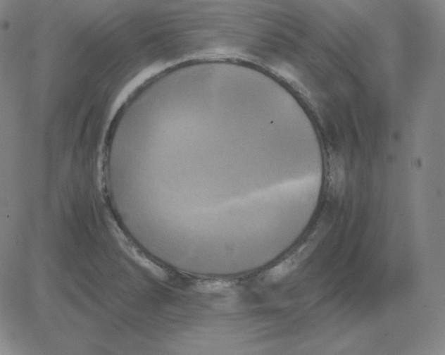 X0000081491278200702021914