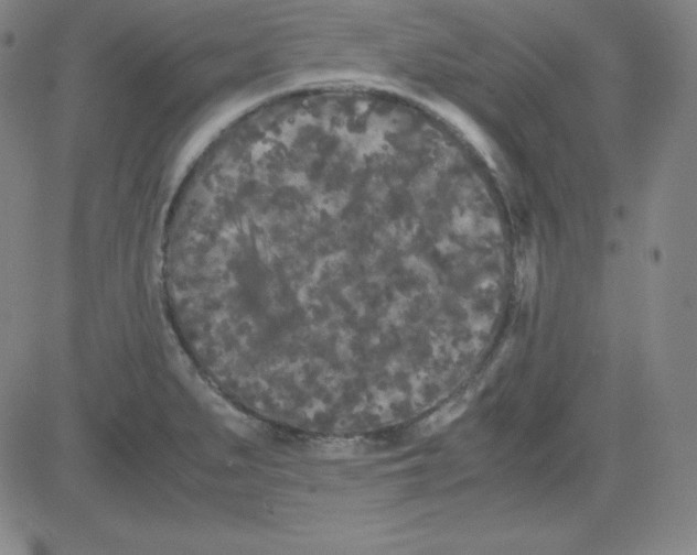 X0000081491279200702021913