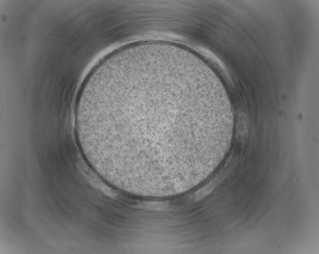 X0000081491280200702021913