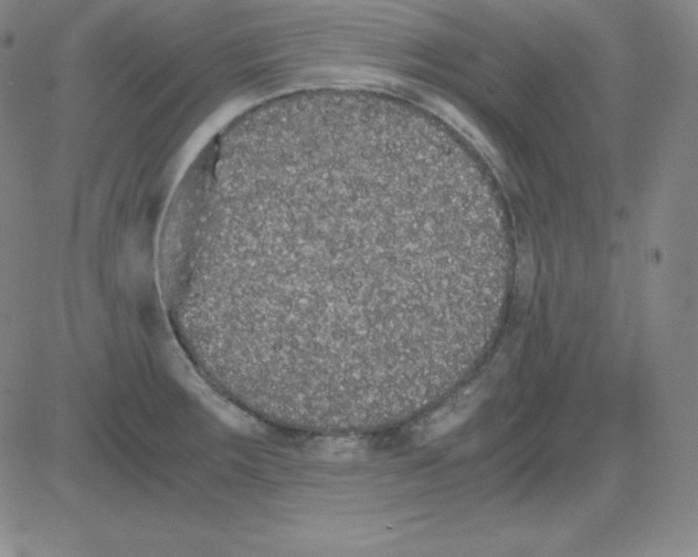 X0000081491283200702021913