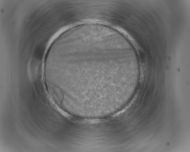 X0000081491286200702021913