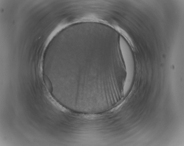 X0000081491288200702021913