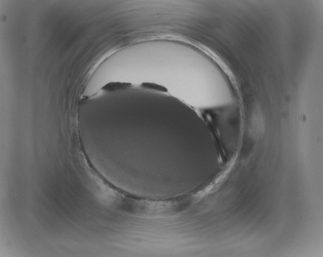 X0000081491289200702021913