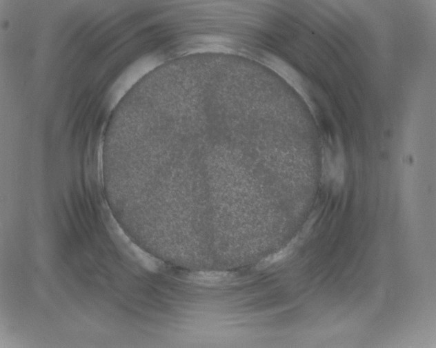 X0000081491290200702021913