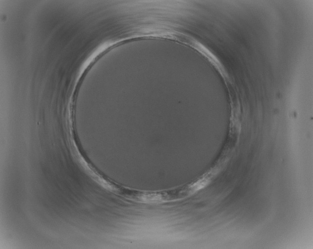 X0000081491291200702021913