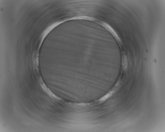 X0000081491292200702021913