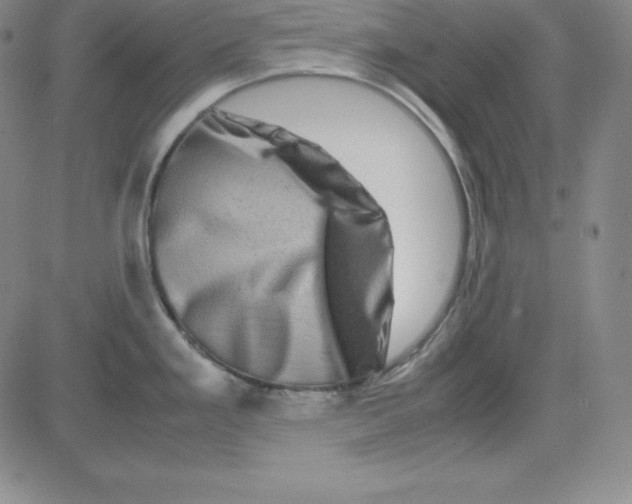 X0000081491293200702021913