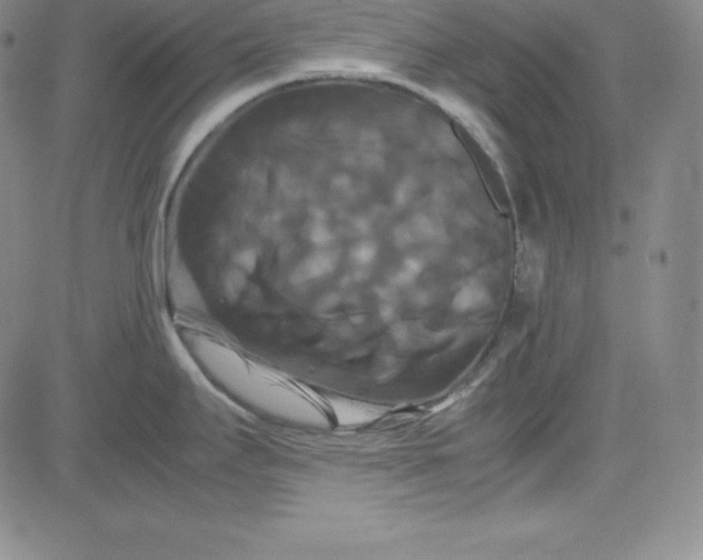 X0000081491295200702021913