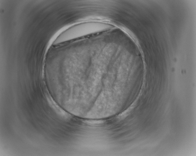 X0000081491296200702021913