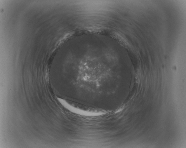 X0000081491298200702021912