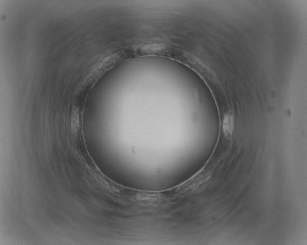 X0000081491299200702021912