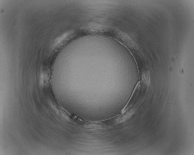 X0000081491300200702021912