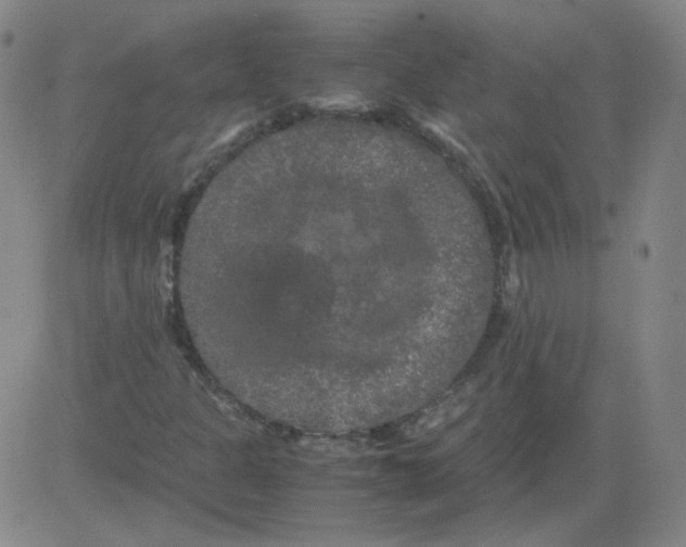 X0000081491301200702021912