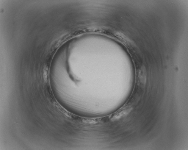 X0000081491302200702021913