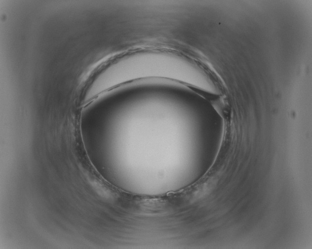 X0000081491304200702021913