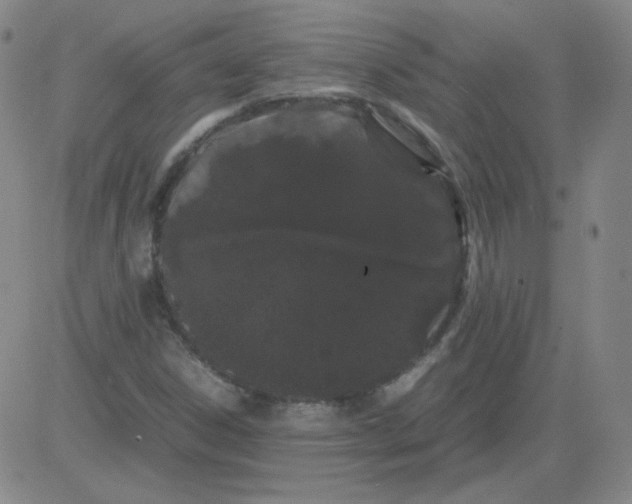 X0000081491306200702021913