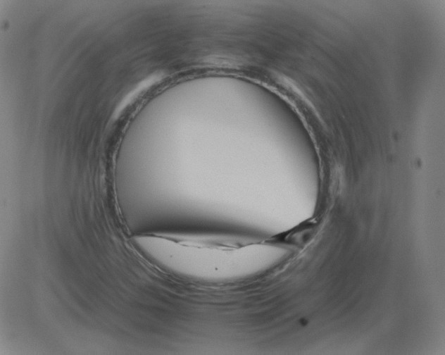 X0000081491307200702021913