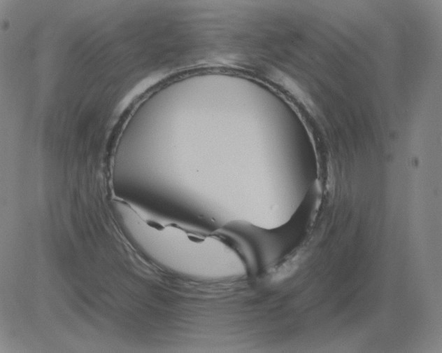 X0000081491308200702021913