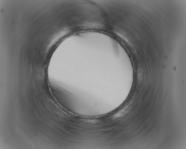 X0000081491309200702021913