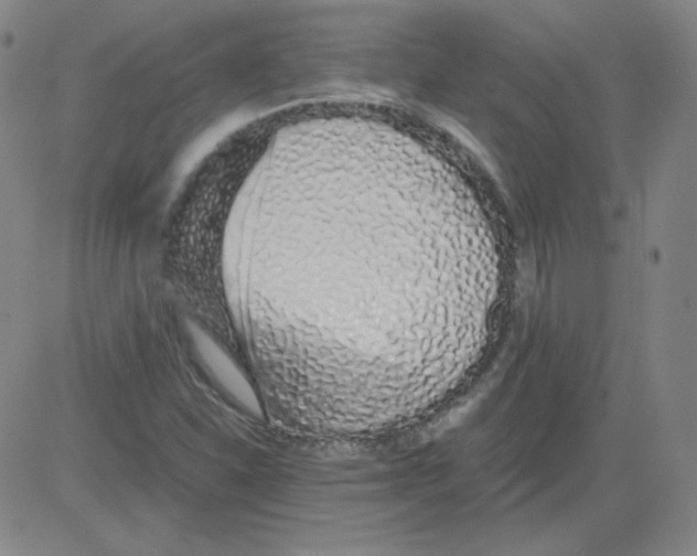 X0000081491310200702021913