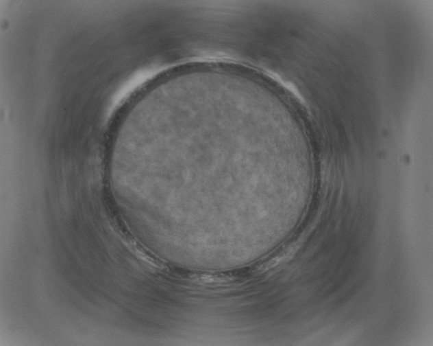 X0000081491311200702021913