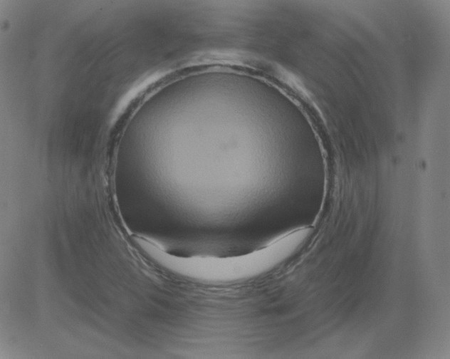 X0000081491312200702021913