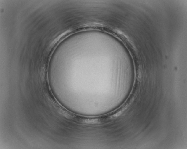 X0000081491313200702021913