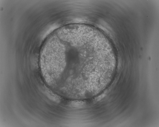 X0000081491314200702021913