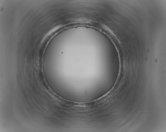 X0000081491315200702021913