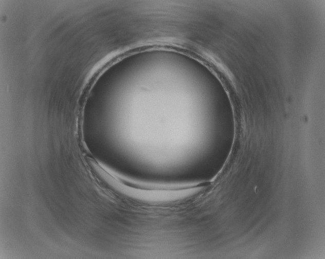 X0000081491316200702021913