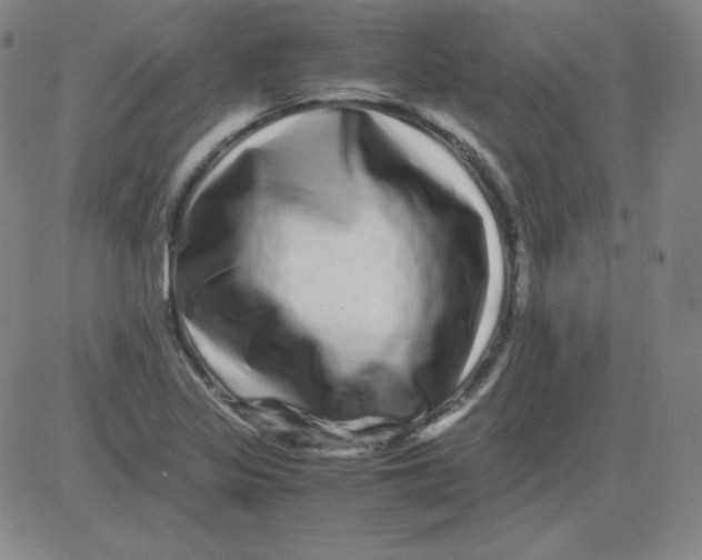 X0000081491317200702021913