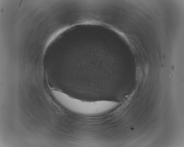 X0000081491319200702021913