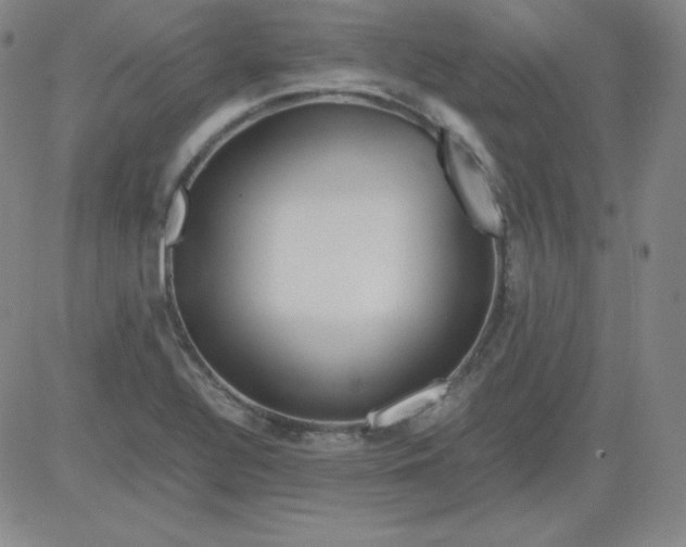 X0000081491320200702021913