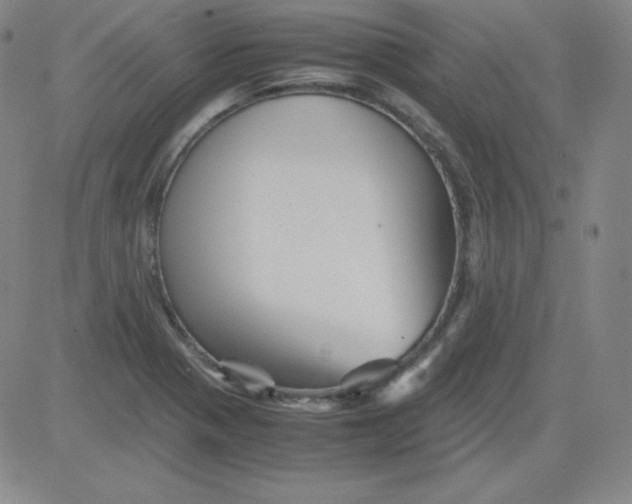 X0000081491321200702021913