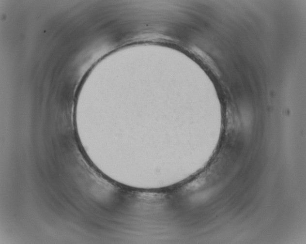 X0000081491322200702021913