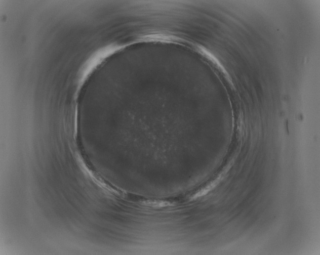 X0000081491323200702021913