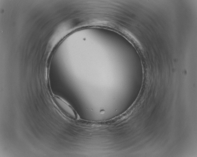 X0000081491324200702021913