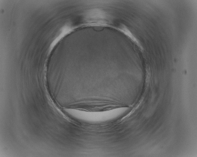 X0000081491325200702021913