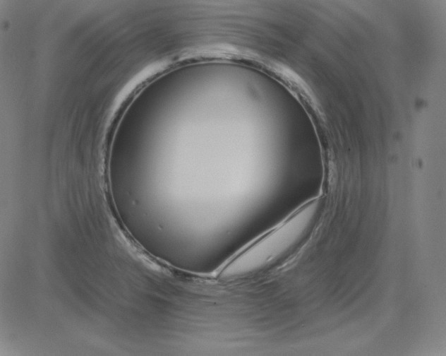 X0000081491326200702021913