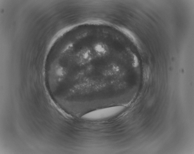 X0000081491327200702021913