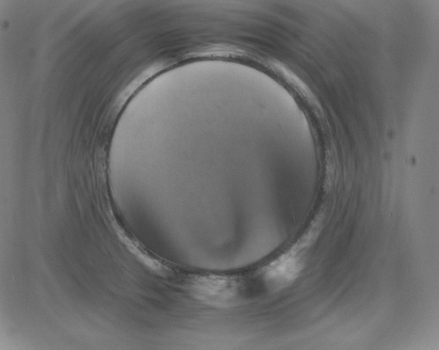 X0000081491329200702021913