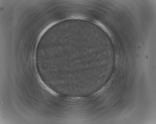 X0000081491331200702021913