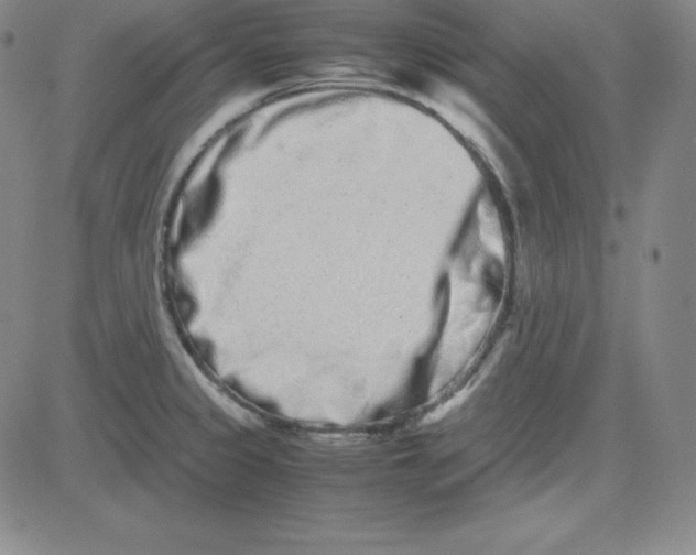 X0000081491333200702021913